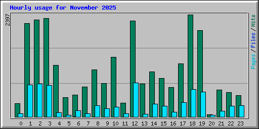 Hourly usage for November 2025
